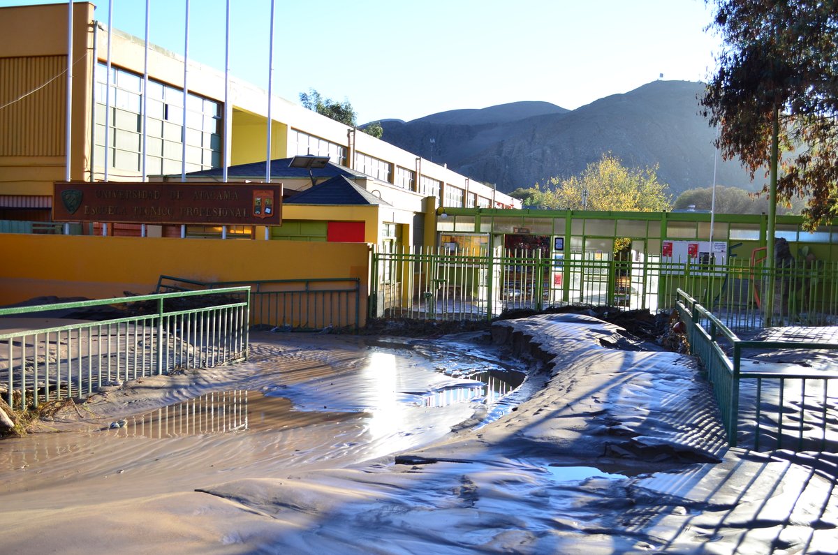 Make Stanne tweet media