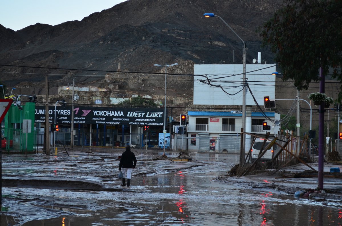 Make Stanne tweet media