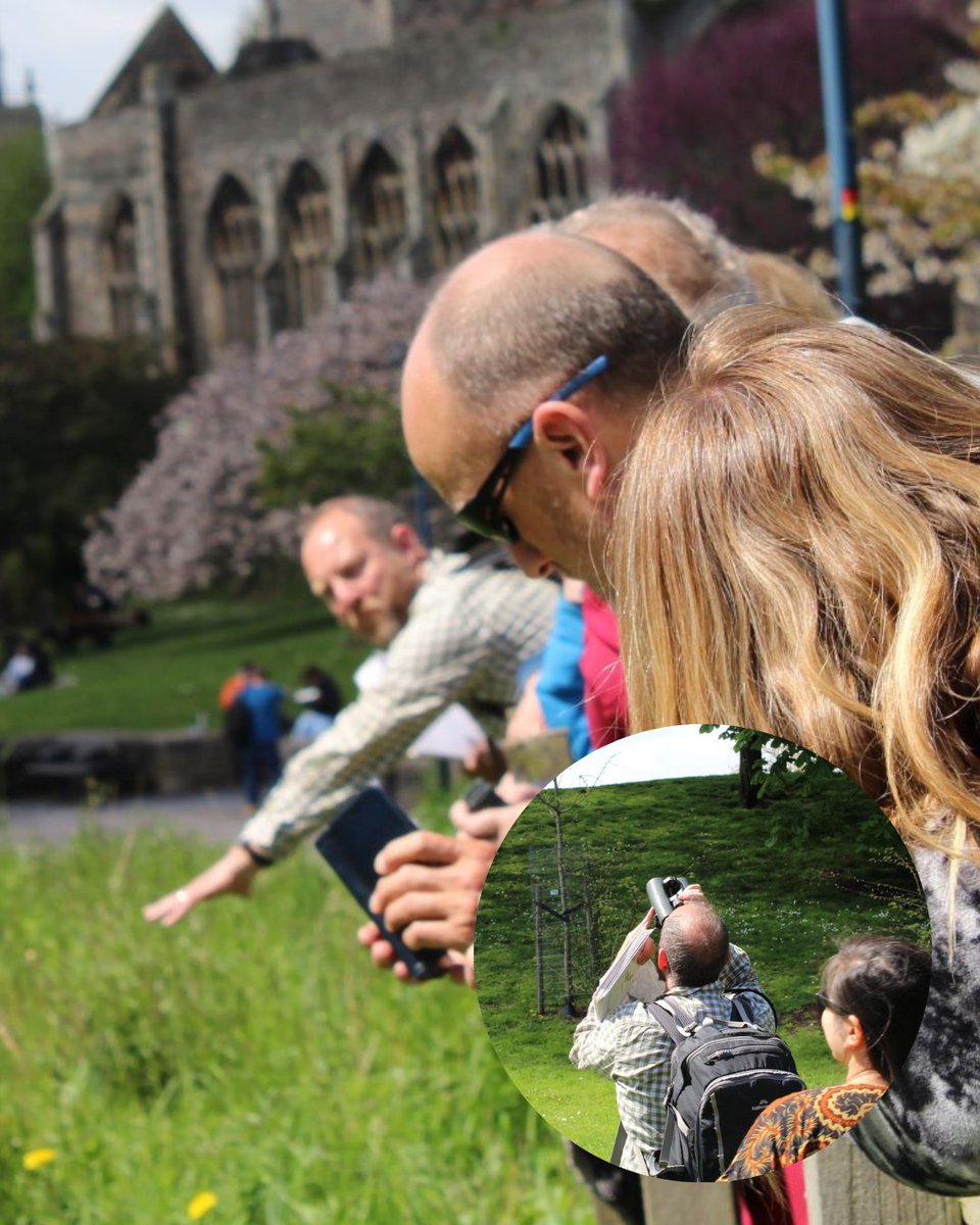 We're running our lunchtime city centre wildlife series again at #FestOfNature! 🌿

Thanks to support from @BristolBID and @RedAndTempleBID, we've got 3 exciting midweek sessions on offer in central Bristol. 🪲

Take a break from the office or the uni library, and join us at...