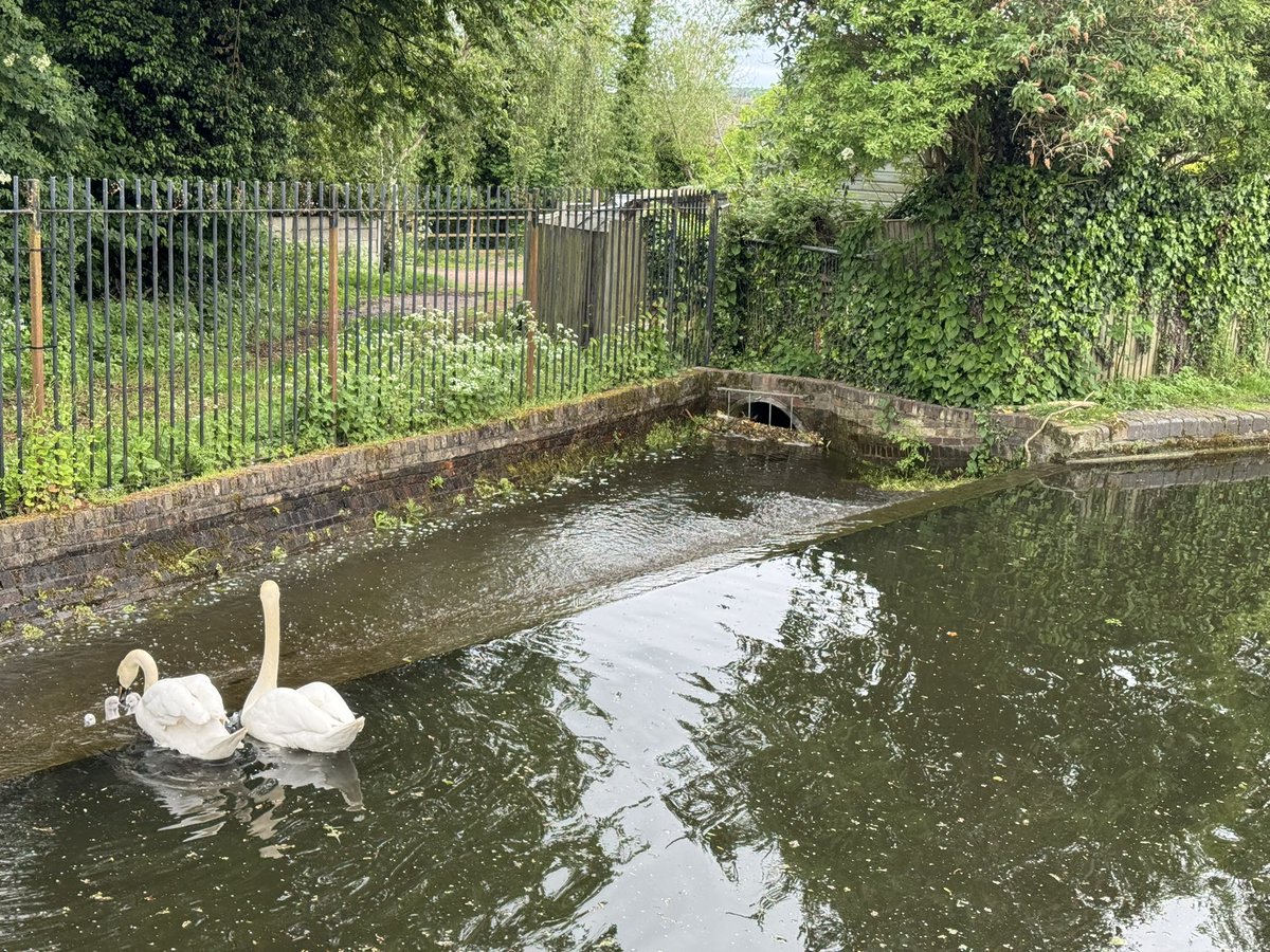 James Palmer tweet media