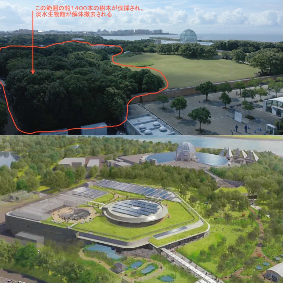 sxzBST's tweet photo. 小池百合子は34年かけて作り上げられた葛西臨海公園の森を壊して太陽光パネルを敷き詰めようとしている。エコだグリーンビズだと言いながらやってることは真逆、ただの環境破壊と太陽光パネル事業推進。また都知事選で再選したら東京は更に太陽光パネルだらけになり、その費用は国民が負担する https://t.co/gYsnZI7lPa