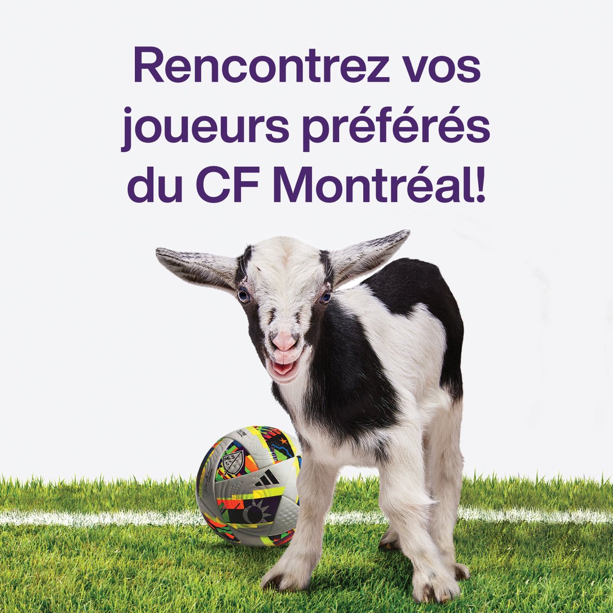 Votre chance est venue de rencontrer vos joueurs étoiles du <a href="/cfmontreal/">CF Montréal</a>! 💜
Rencontrez Samuel Piette à la boutique TELUS du Carrefour Laval et Jonathan Sirois à celle des Promenades Saint-Bruno.

C’est un rendez-vous: le jeudi 16 mai de 18h à 19h!