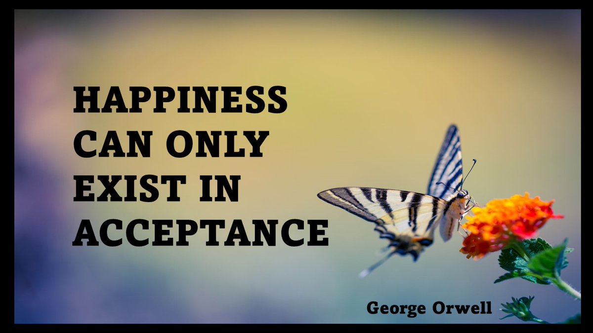 We tend to judge, but our happiness can’t appear until we accept.