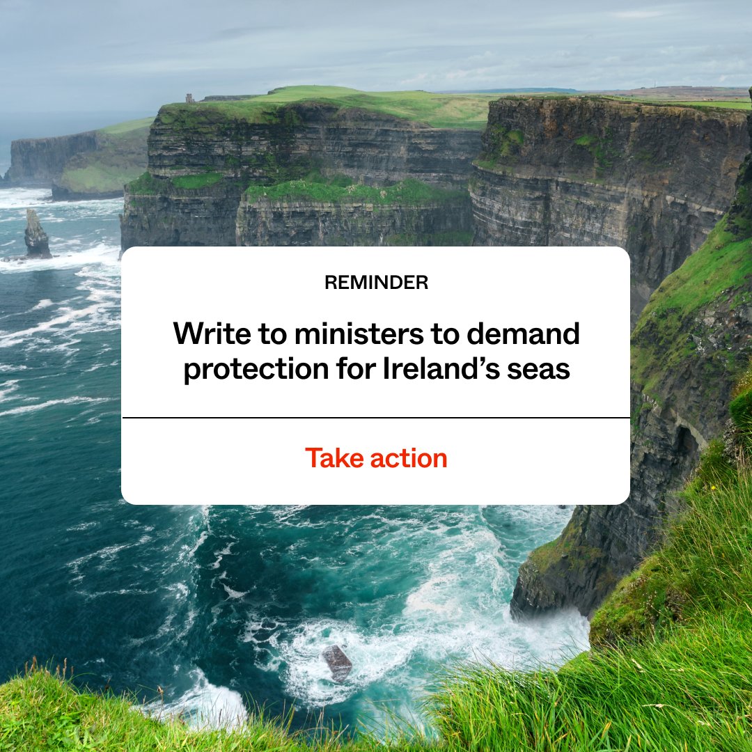 Have you taken action yet? We have seen huge support across Ireland for the creation of a Marine Protected Areas (MPA) Network covering at least 30% of our seas by 2030. Laws to create MPAs are being delayed. Use your voice -> only.one/act/ministers-… #FairSeas #30x30Ireland