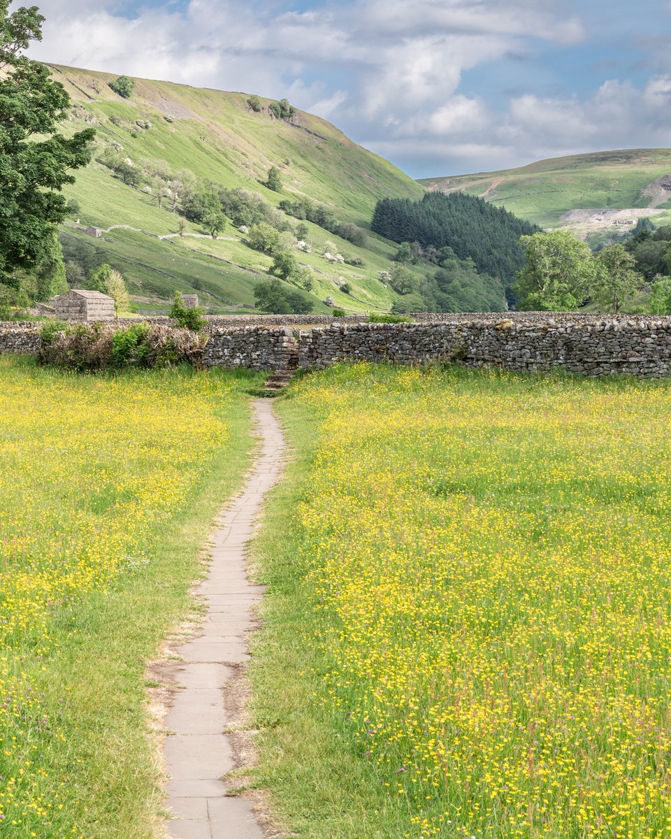 It's prep time for photographing the wildflower meadows, so I've been looking through past photographs. This is Howe Close, one of the Seven Fields at Muker. Not long now before they're fully out. #Swaledale #YorkshireDales