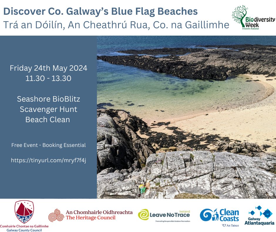 📷📷 Get ready to explore the beauty of Trá an Dóilín! Join us for a day of discovery during National Biodiversity Week. See you there! #NationalBiodiversityWeek #DiscoverTheBeach #BlueFlagBeach
@GalwayCoCo
@HeritageWeek 
@LeaveNoTraceIrl 
@CleanCoasts