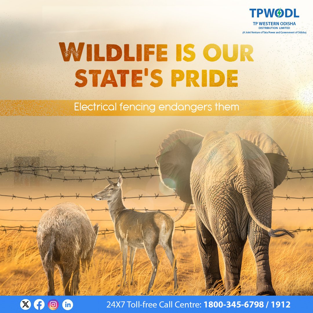 TPWesternOdisha's tweet photo. Electrical fencing, both fatal and illegal, poses a significant threat to wildlife. Such fencing disrupts the ecosystem balance, endangering the diverse range of species that inhabit it.
#ProtectOurWildlife #StopLivewirePoaching https://t.co/OHRX5NqvuE