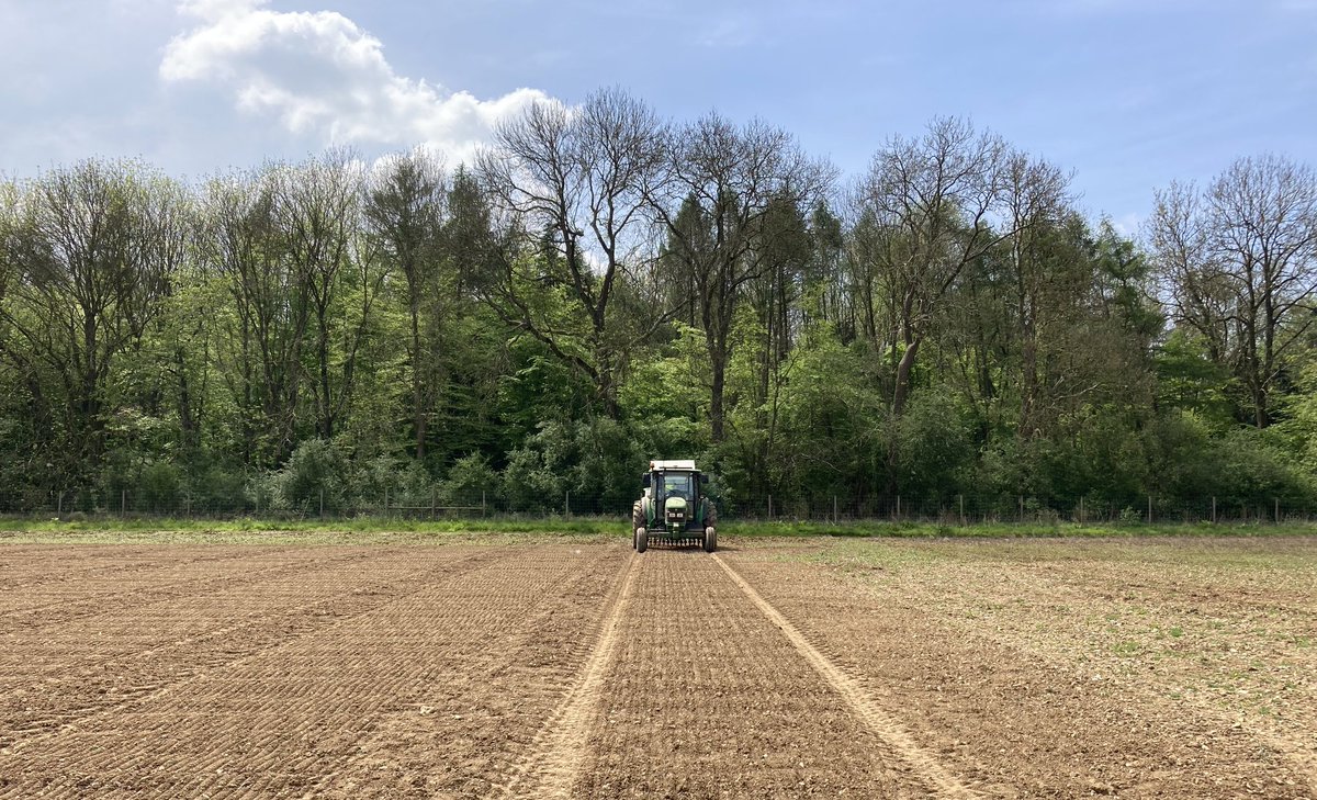 Johnathan Napier (@johnathannapie1) on Twitter photo 2024 GM camelina field trials successfully drilled at <a href="/Rothamsted/">Rothamsted Research</a> - our 11th consecutive year of GM field trials at Harpenden. Looking forward to seeing how some of our new lines perform, making high levels of EPA, DPA & DHA. 2024 GM camelina field trials successfully drilled at <a href="/Rothamsted/">Rothamsted Research</a> - our 11th consecutive year of GM field trials at Harpenden. Looking forward to seeing how some of our new lines perform, making high levels of EPA, DPA & DHA.