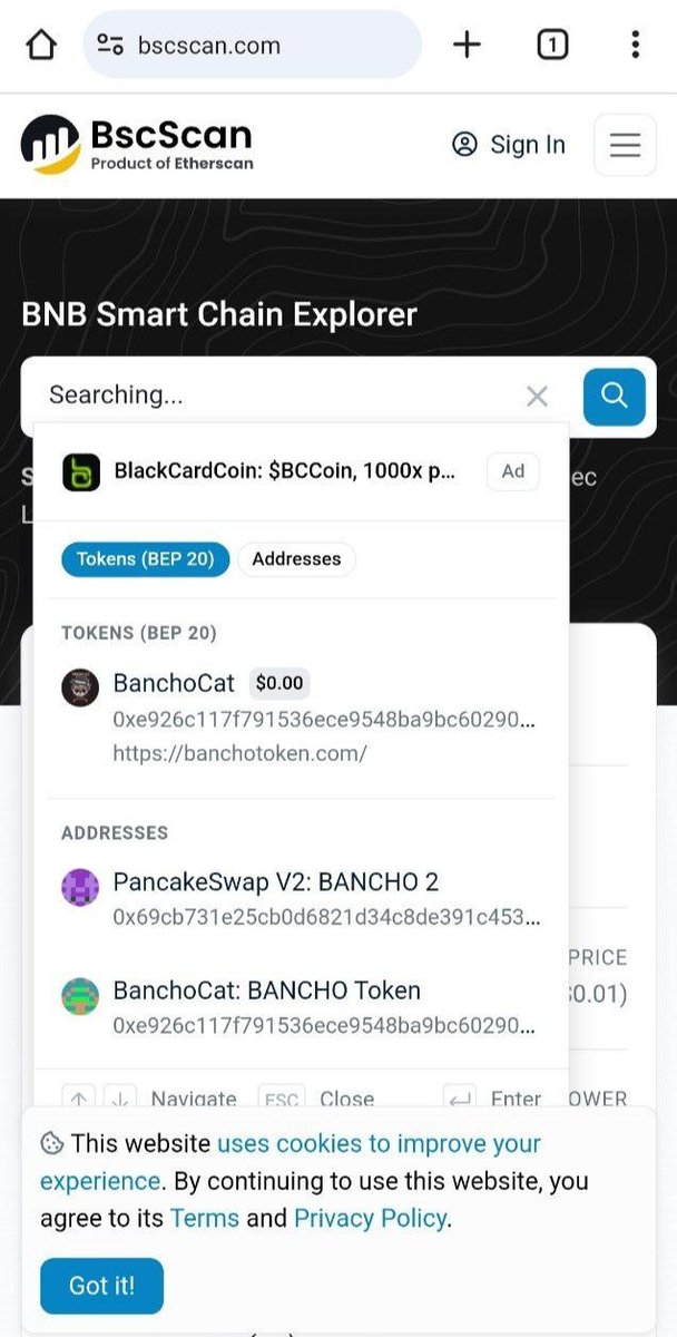 BanchoToken tweet media