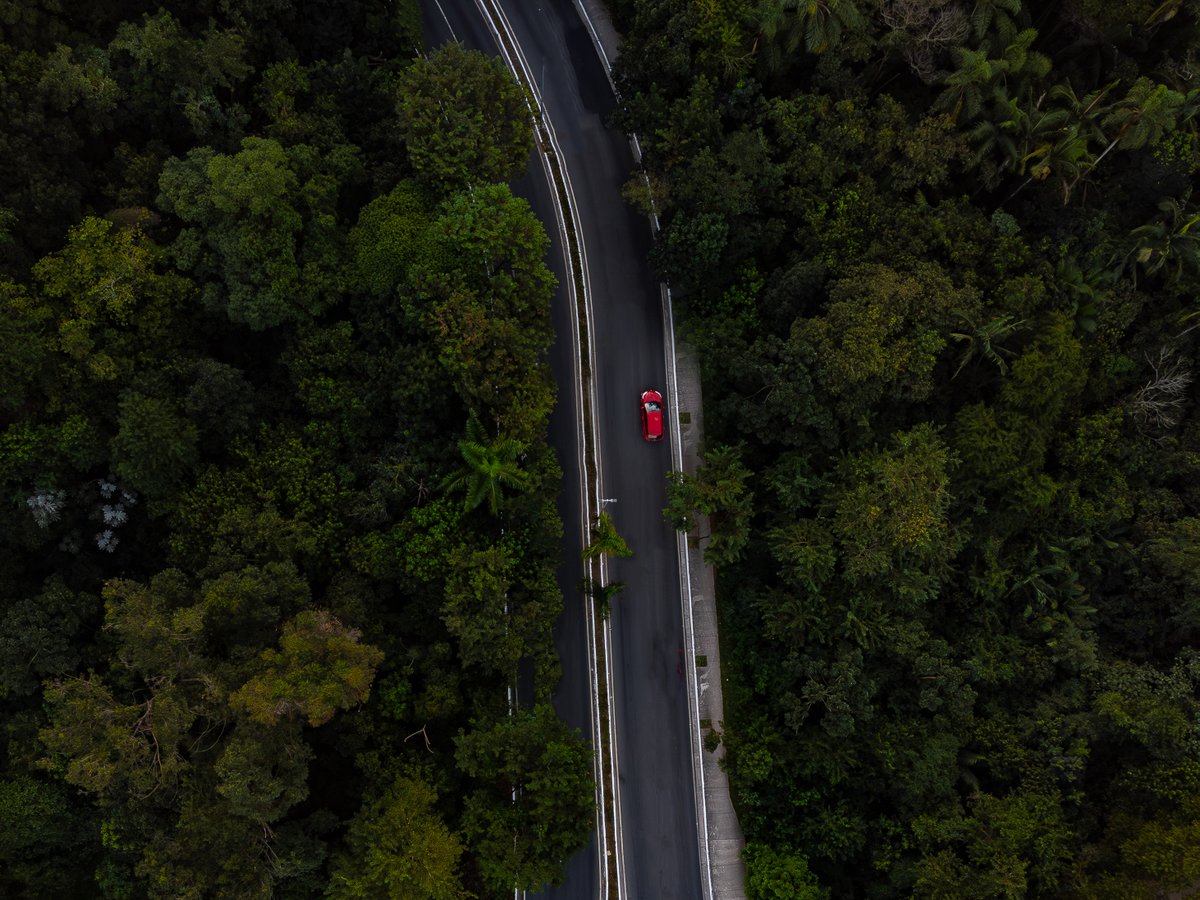 Na mata. 

#droneshot #dronephotography #dji