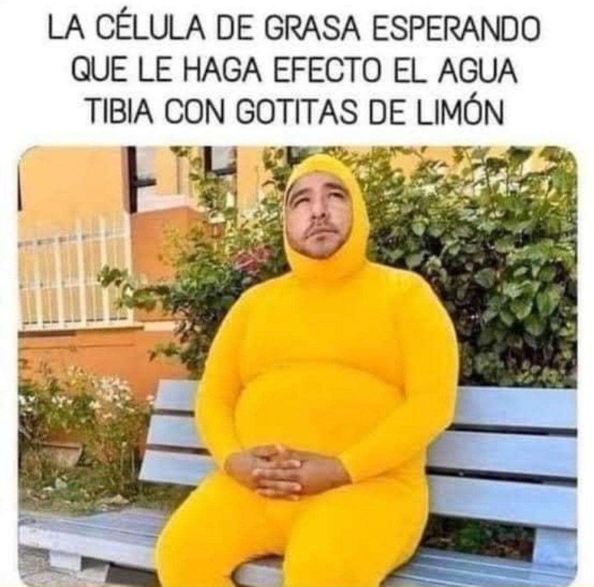 Después de la comilona del fin de semana 🙄🤦🏻‍♂️