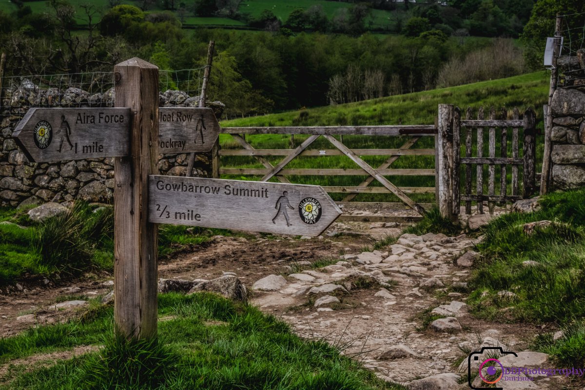Path to Gowbarrow #hiking #lakes #walking #sunnydays #outdoors #walk #hill #LakeDistrict #ukshots #capturingbritain #uk #hikelife #gloriousbritain #naturelovers #nationaltrust #landscape #Cumbria #thegreatoutdoors #ruralbritain #explore #hikingadventures #walking #hikingtrails