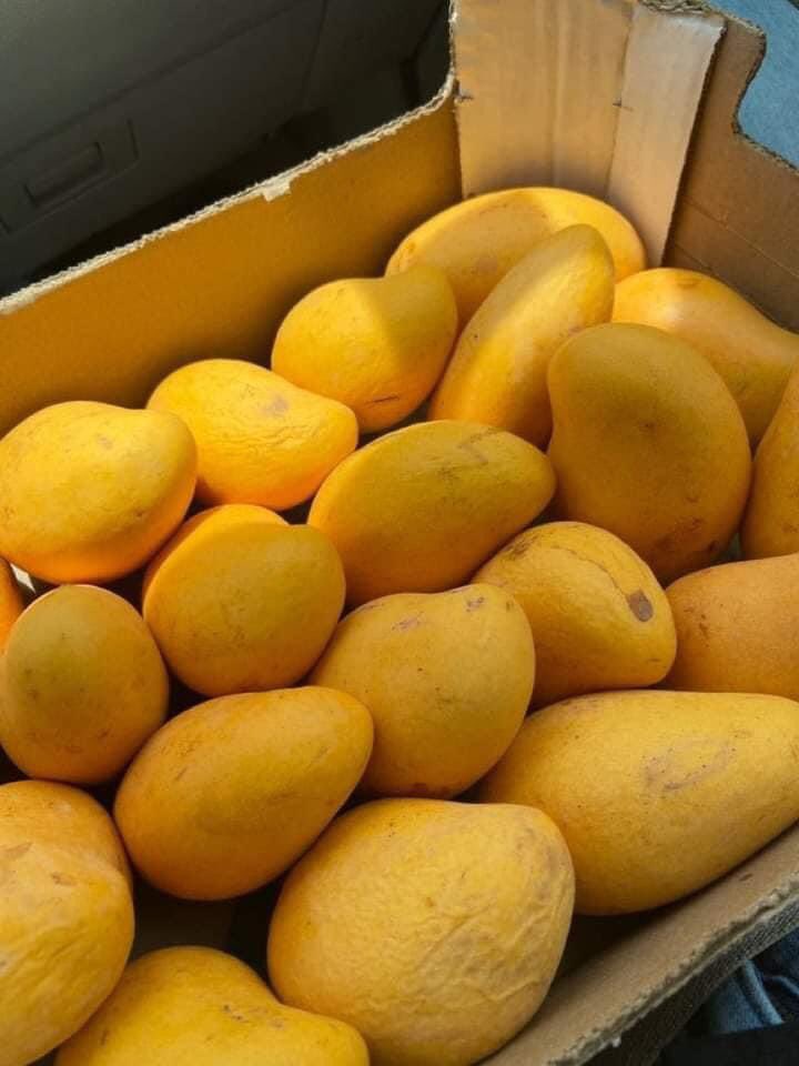 بادشاہ سلامت اب تو آجائیے.. 💛