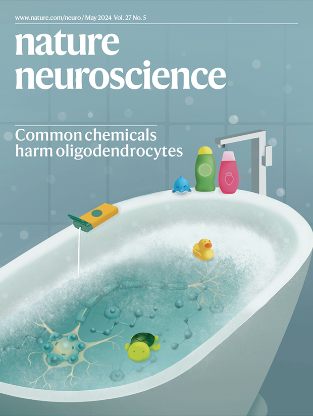 Our May issue is now live! nature.com/neuro/volumes/…