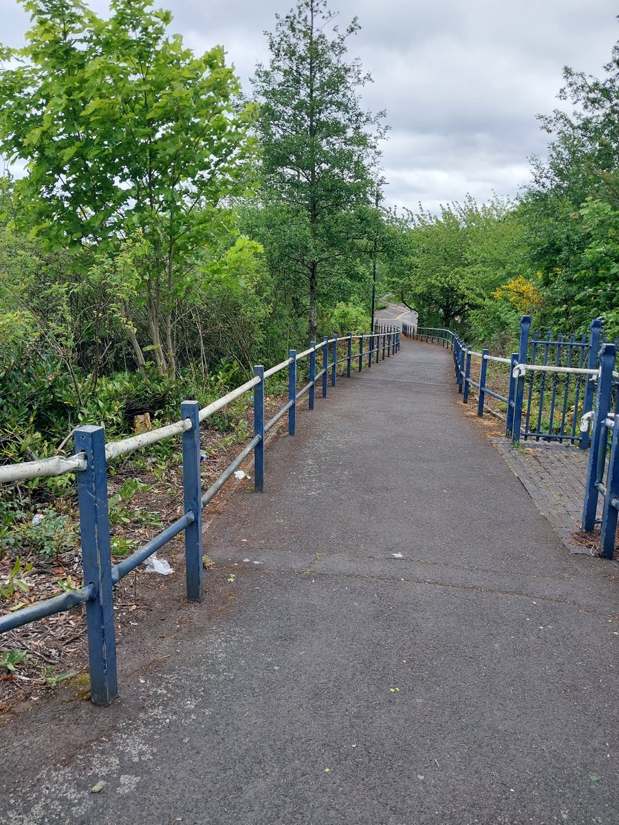 On foot patrol around #Bilston town centre and surrounding streets.
Also did a few weapons sweeps in the local under growth. 
Whilst checking vehicles for valuables left on display.
Pcso 31123 Lewis
@WolvesPolice
@WMPolice 
@BilstonTownCent 
#Reducecrime