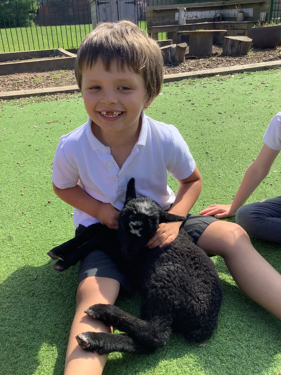 Reception had an absolutely amazing morning today! We had special visitors come to see us from The Yorkshire Lamb Orphanage 🐑 ❤️ Molly brought two 4 day old lambs with her. We were able to cuddle and pet the lambs. We learnt lots about them 😍 #Reception #Spring #Lambs