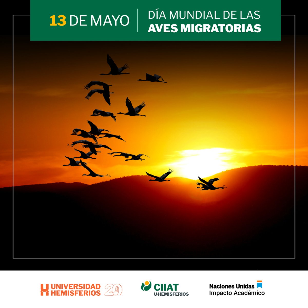ciiat_UHE's tweet photo. El 13 de mayo celebramos el Día Mundial de las Aves Migratorias. 🐦💫
Es un recordatorio de la belleza y la importancia de estas viajeras aladas en nuestro ecosistema. ¡Aprendamos y #protejamos juntos a estas aves que cruzan continentes en busca de un hogar! ✨ https://t.co/jCH6U8GkZp