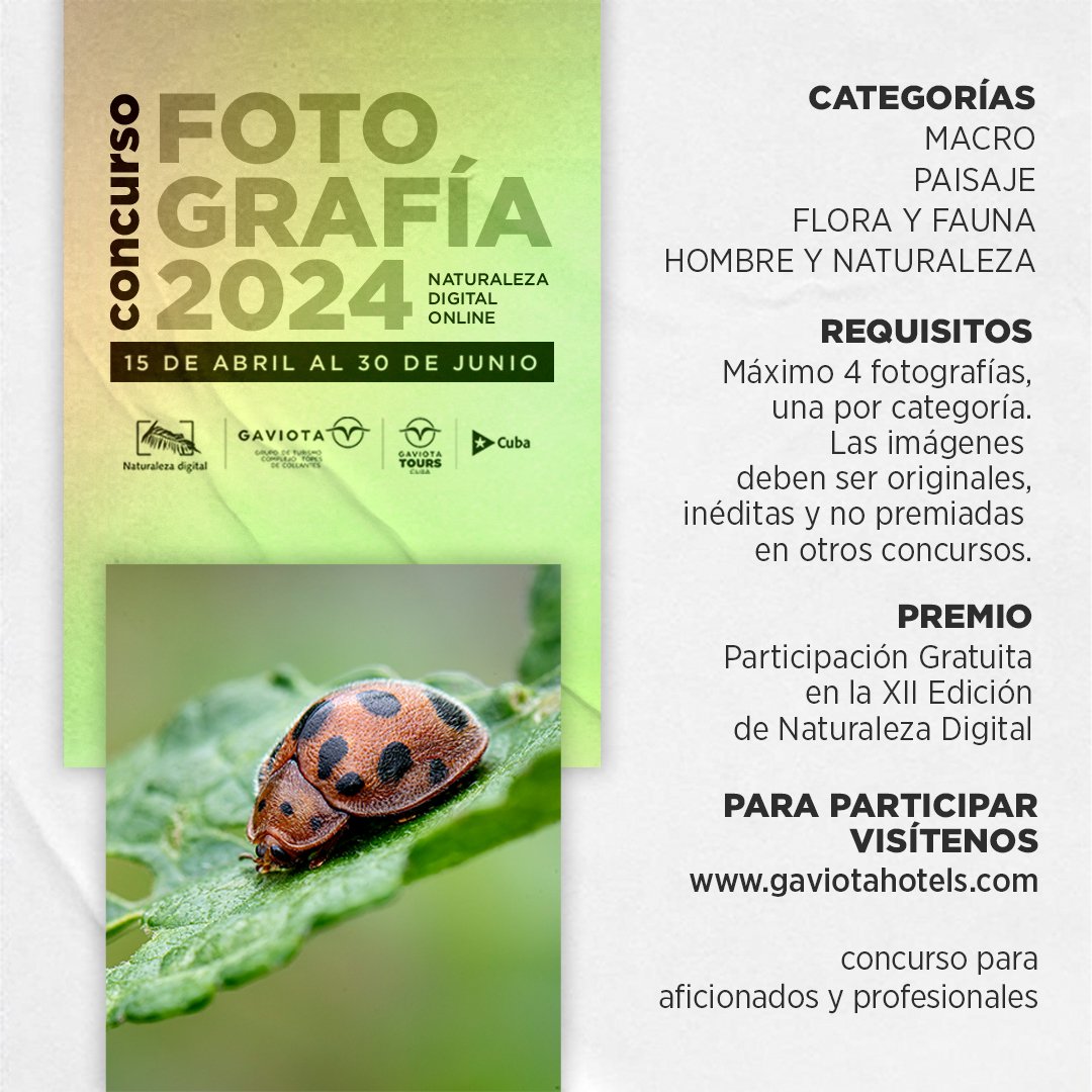 🖥¡Continuamos con la recepción de sus imágenes!📸 📲El concurso de Fotografía 'Naturaleza digital' Online, cada día, suma nuevos participantes👇 ¡Anímate a enviar tus fotos! . #TopesDeCollantes #DestinosGaviota #GaviotaTurismo #Naturaleza #Viajes #Trip #Fotografía #Trinidad