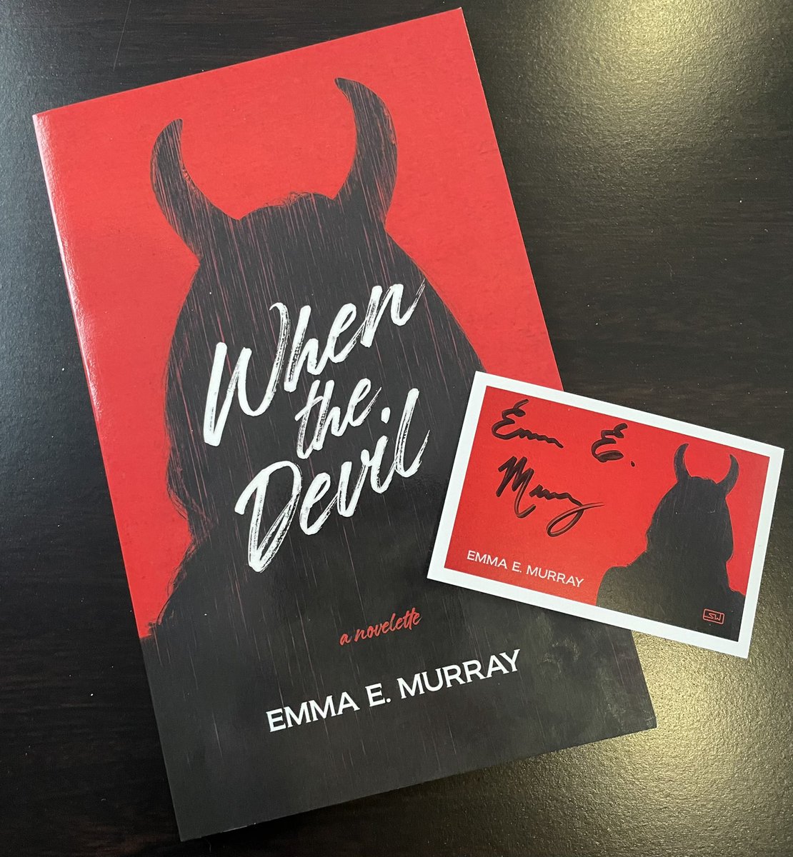 #bookmail from @ShortwaveBooks of When the Devil by @EMurrayAuthor! Looking forward to this sapphic southern gothic bb!