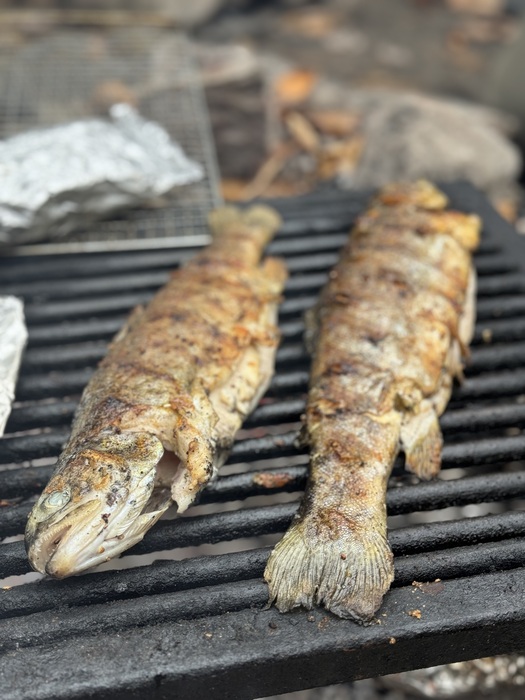 OUTDChannel's tweet image. Pat Martin heads to the Cherokee National Forest in East Tennessee for a day of fly fishing with his old friend, Chef Joseph Lenn and to cook up their fresh catch over the campfire.

Life of Fire  /  ALL NEW MONDAY AT 9 PM ET. 

#FindYourAdventure #lifeoffire #livefirecooking