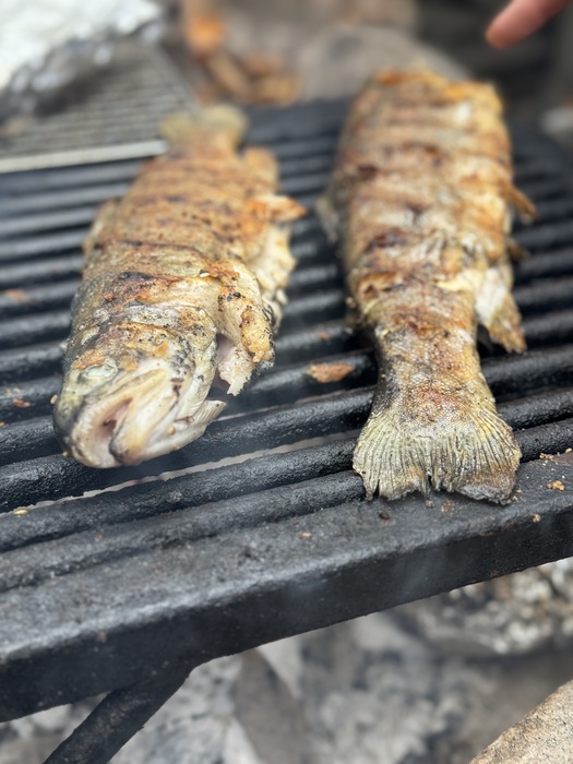 OUTDChannel's tweet image. Pat Martin heads to the Cherokee National Forest in East Tennessee for a day of fly fishing with his old friend, Chef Joseph Lenn and to cook up their fresh catch over the campfire.

Life of Fire  /  ALL NEW MONDAY AT 9 PM ET. 

#FindYourAdventure #lifeoffire #livefirecooking