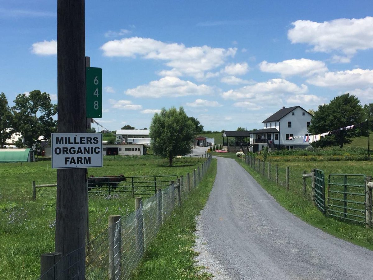 Amos Miller is an Amish farmer who owns Miller's Organic Farm in Bird-in-Hand, Pennsylvania.

Here's what they sold:

• Raw milk
• Dairy byproducts (ex: cheese)
• Grass-fed beef and poultry
• Fresh produce and organic eggs

Their quality was top-notch.