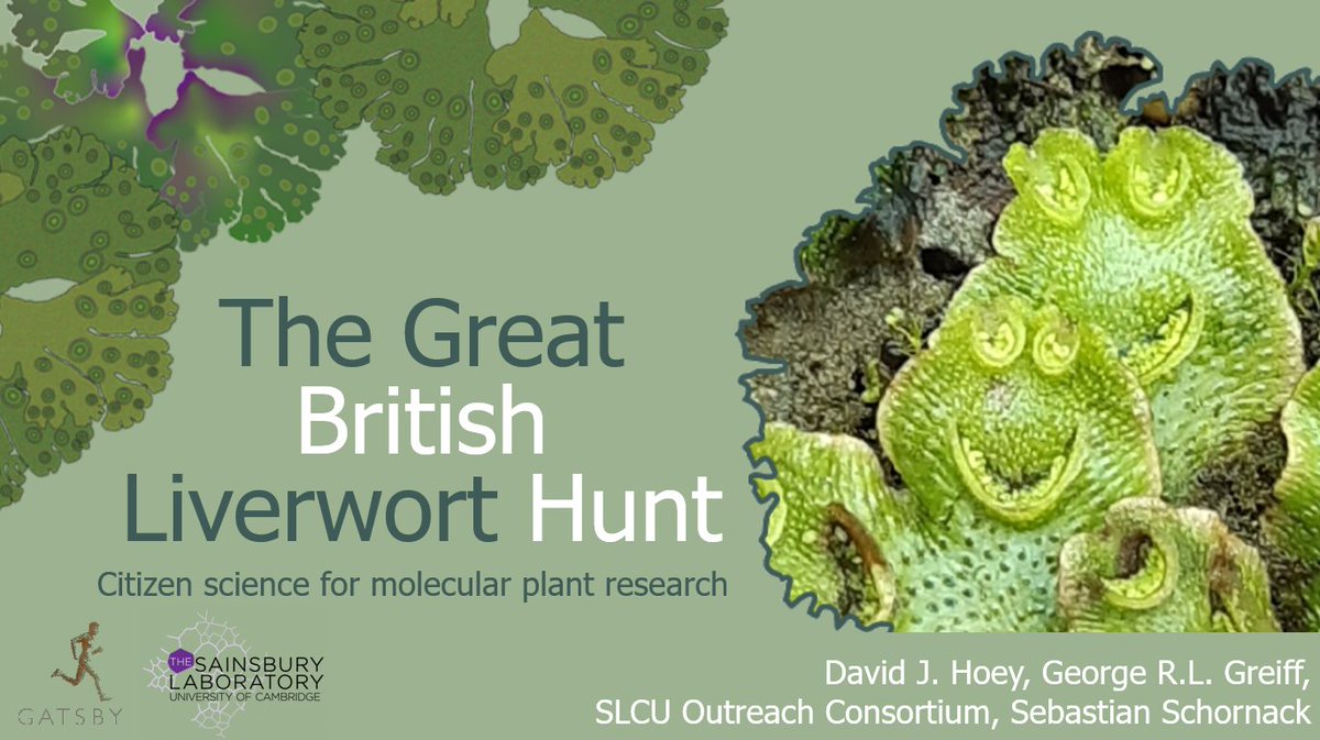 There are still tickets for our @pintofscience session on Wednesday 'Citizen Science: Research Gone Wild' where I will be presenting a retrospective on the Great British Liverwort Hunt which we undertook in 2021! pintofscience.co.uk/event/citizen-… @dromius @ilichenmoss