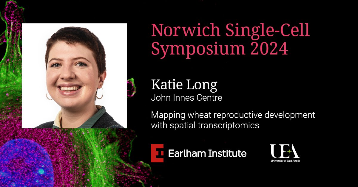 At #EISingleCell24, PhD Researcher @KatieA_Long will be sharing her collaboration with @AshleighSLister applying #SpatialTranscriptomics to resolve the expression patterns of 300 key genes to sub-cellular resolution in developing wheat spikes. ➡️ okt.to/Kg68EZ