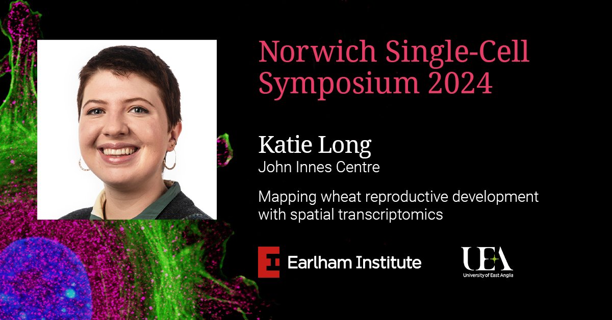 At #EISingleCell24, PhD Researcher <a href="/KatieA_Long/">Katie Long</a> will be sharing her collaboration with <a href="/AshleighSLister/">Ashleigh Lister</a> applying #SpatialTranscriptomics to resolve the expression patterns of 300 key genes to sub-cellular resolution in developing wheat spikes.

➡️ okt.to/Kg68EZ