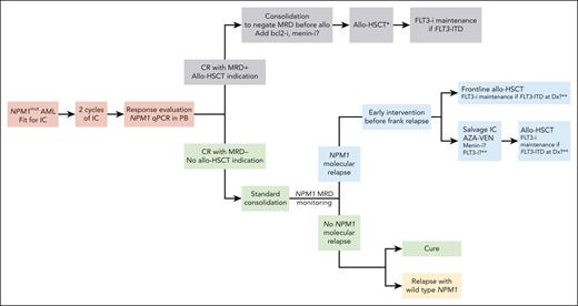 Transplant in AML: just follow the NPM1 guide!
ow.ly/lnLj50RARO5 #clinicaltrialsandobservations