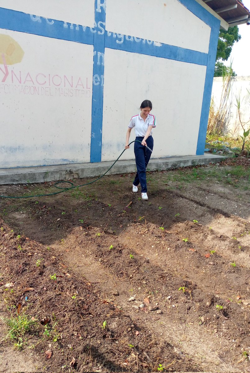 Craetcalberto1's tweet photo. 🌱🥕🥑15 AÑOS del Conuco Adrianista sembrando soberanía alimentaria gracias al programa pedagógico TODAS LAS MANOS A LA SIEMBRA 💯👏🏽 https://t.co/fI2rAb8B5e