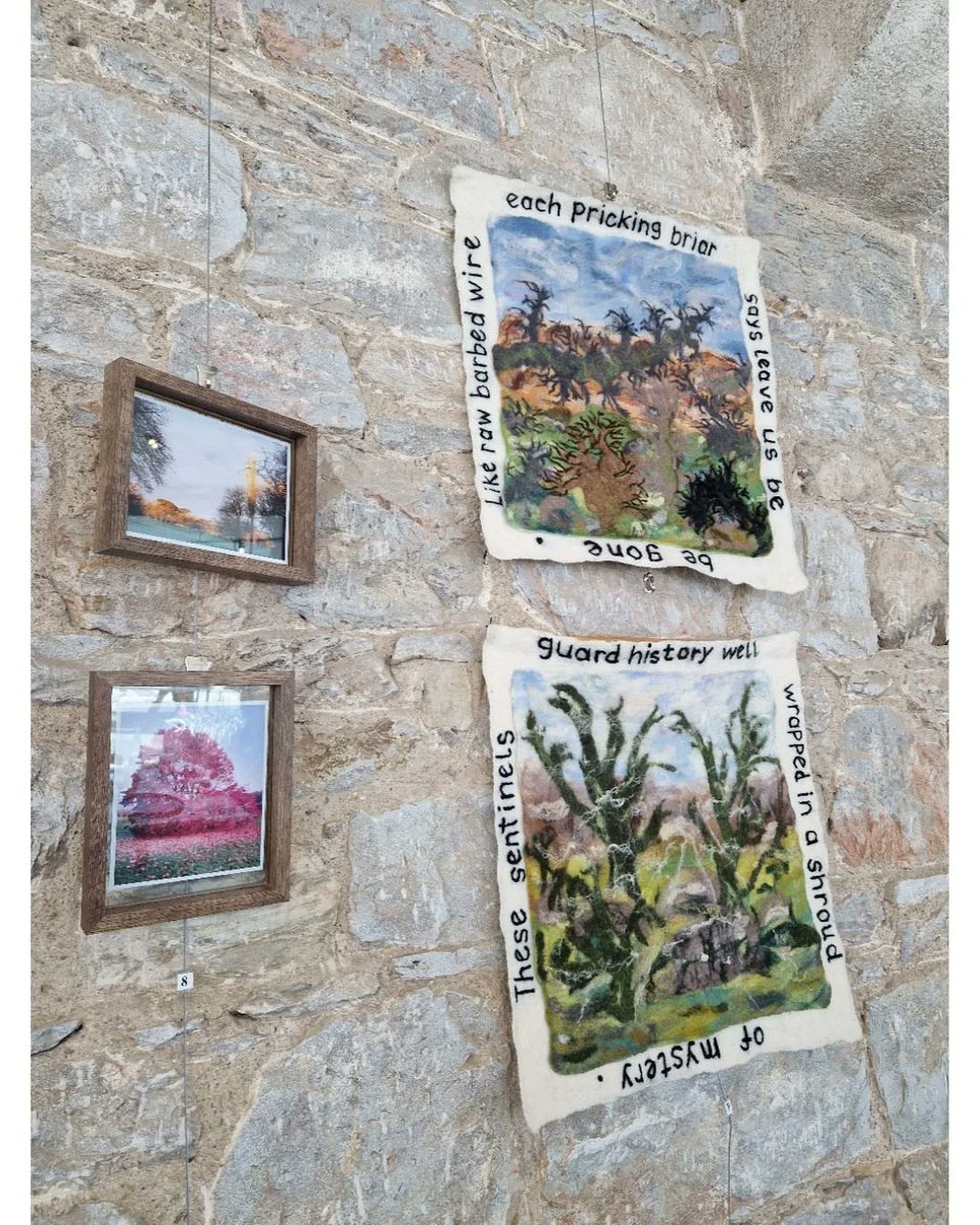 PlymouthTreePeople tweet media