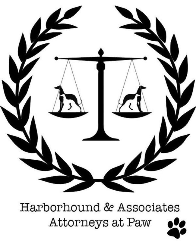I am pleased to announce that Harborhound & Associates is establishing a scholarship fund in Fred’s name, providing free legal defense to promising young hounds wrongfully accused of unique & innovative crimes. The 1st recipient is Wilfred, who did not eat the family Bible.