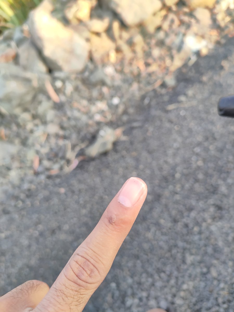 fornaxAR's tweet image. voted don't ask multiple questions ⁉️#ModiForever #village