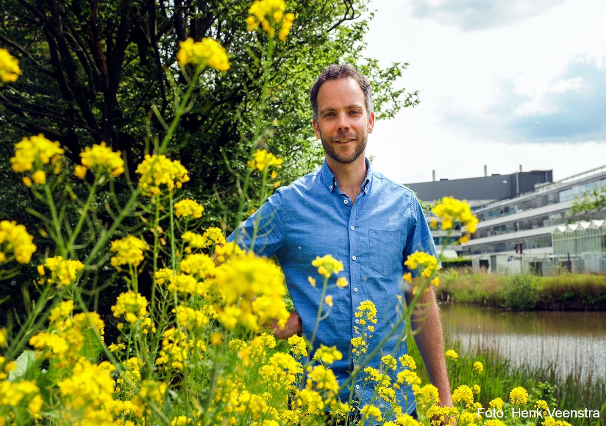 Bloemen, bomen, bijen: de natuur kent een bont pallet aan kleuren 🎨 Waar dienen die kleuren toe? En hoe kunnen ze helpen bij het visualiseren én bevorderen van biodiversiteit? Dat onderzoekt @CaspervdKooi (@ScienceLinX) 🌺🐝👇 rug.nl/about-ug/lates…