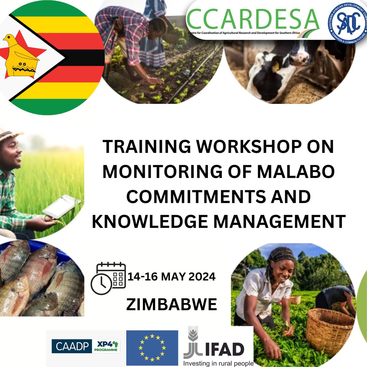 Happening tomorrow at Harare, Zimbabwe training workshop on Malabo Commitments and Knowledge Management.
#CCARDESA #SADC #Fara #malabocommitment #knowledgemanagement #Harare #Zimbabwe #trainingworkshop