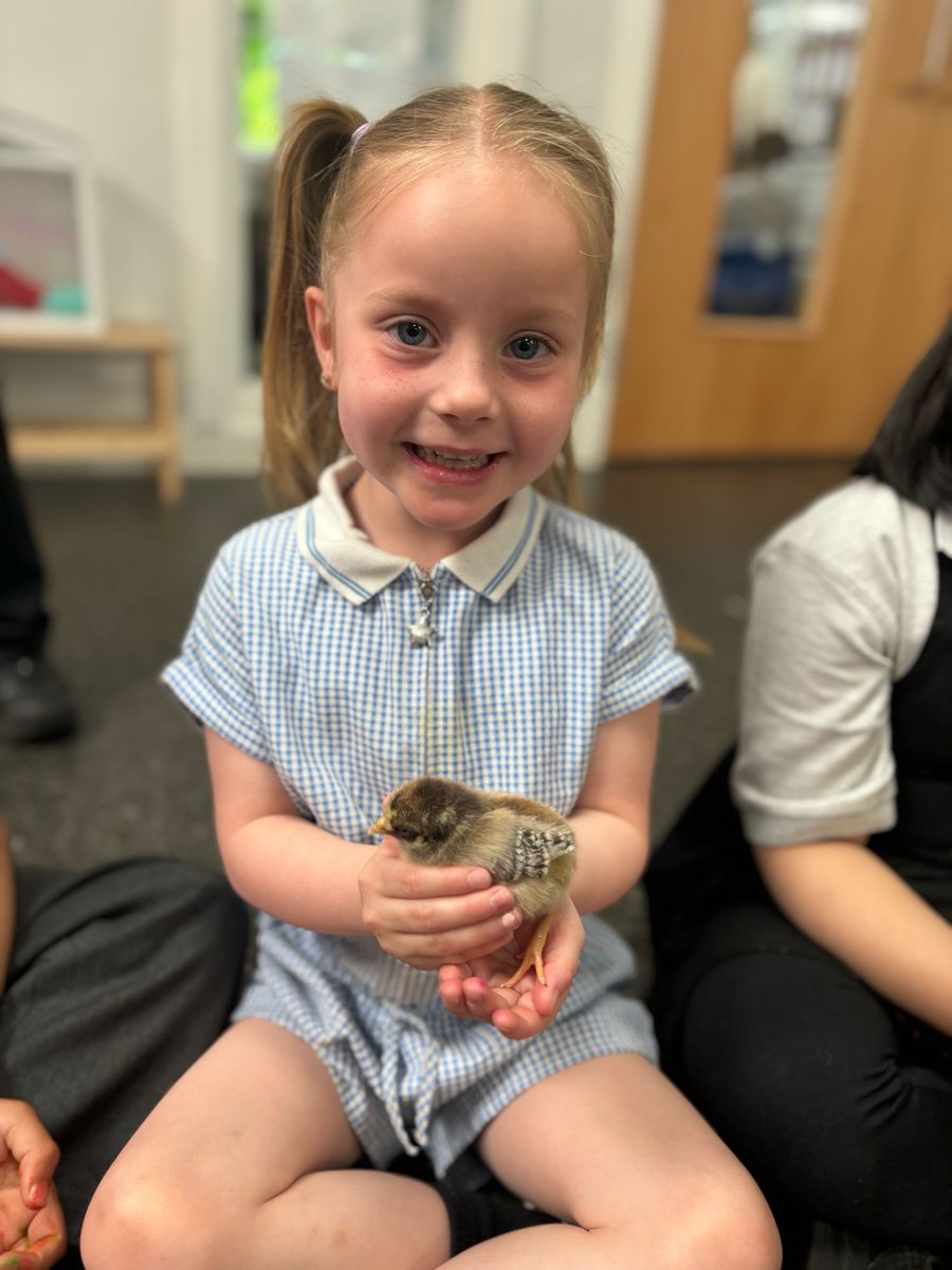 What an egg-citing day in Reception 🐥🐥