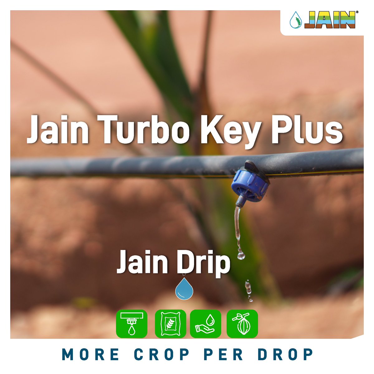 Enhance your farming efficiency with Jain Turbo Key Plus Dripper! 🌱💧
Achieve #MoreCropPerDrop through precise water delivery and reduced wastage!

Optimize irrigation and watch your yields roar with #JainIrrigation 

#SustainableAgriculture #JainInnovation #AgTech #JainDrip