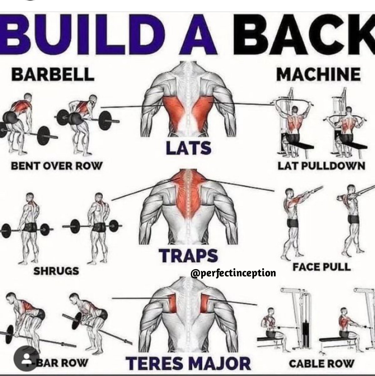 Build A Back.

#gymgirl #gym #Gymnastics #Gymbro #gymmotivation #gymlife #bodylanguage #bodymassage #body #bodybuulder