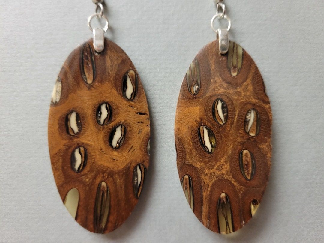 Gift Yourself: UNIQUE #BanksiaCone and Resin #ExoticWoodEarrings Lightweight Exoticwoodjewelry @RTobaison etsy.me/4dDHcRi via @Etsy #CCMTT