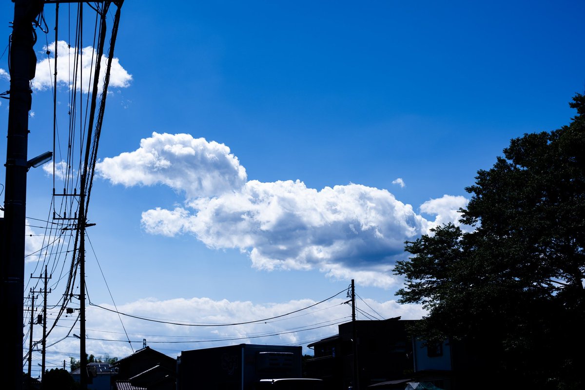 jon92048449's tweet photo. A flying crocodile
#Japan https://t.co/ttMj2Qqnr4
