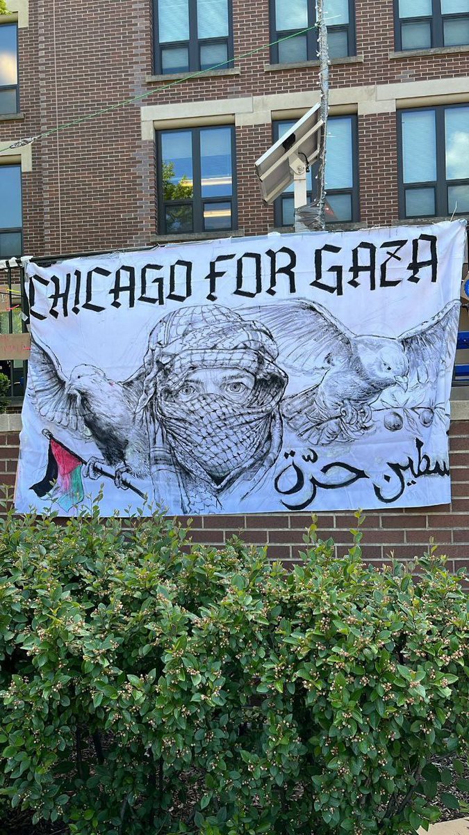 'Özgür Filistin'

 ▪️'Chicago, ABD