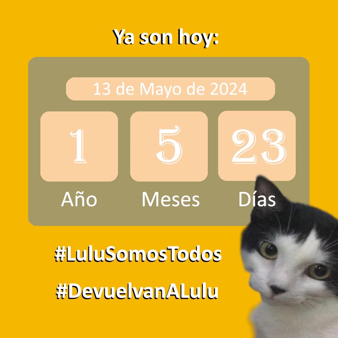 #13May El #Amor sabe de milagros. Mientras no aparezca, ninguna opción se ha agotado. #LuluEsElMilagro: la gracia que pedimos, regresando a casa. #LuluSomosTodos, #SeBusca #Difunde. #Seguimos