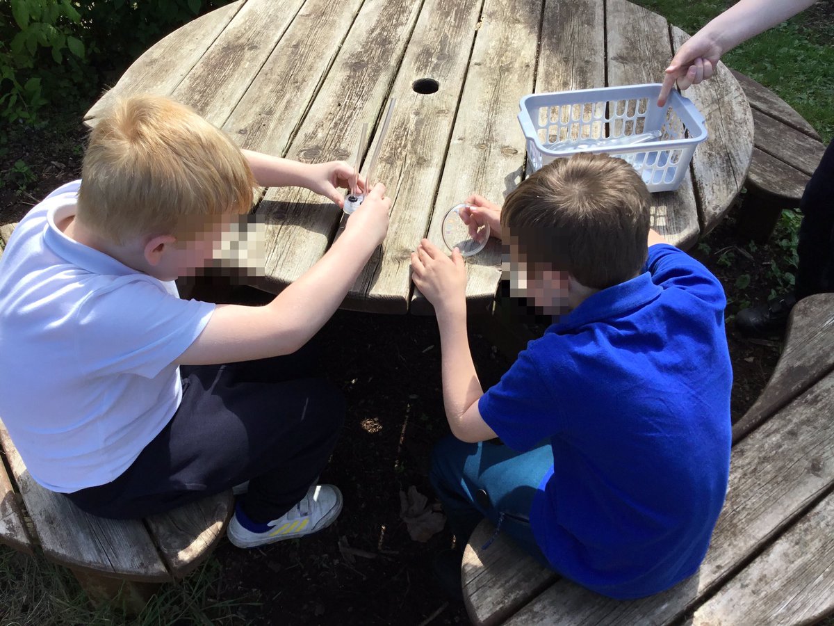 LeysFarm's tweet photo. Exciting squeals from Y3 this afternoon as we went on our bug hunt adventure for science. Everyone enjoyed exploring our garden to find our mini beasts and looking closely through our pooters. #LFJSScience #LFJSOutdoorlearning. #MentalHealthWeek2024 https://t.co/8EruPKFCBn
