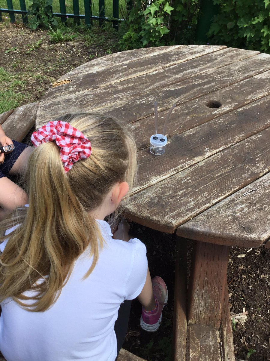 LeysFarm's tweet photo. Exciting squeals from Y3 this afternoon as we went on our bug hunt adventure for science. Everyone enjoyed exploring our garden to find our mini beasts and looking closely through our pooters. #LFJSScience #LFJSOutdoorlearning. #MentalHealthWeek2024 https://t.co/8EruPKFCBn
