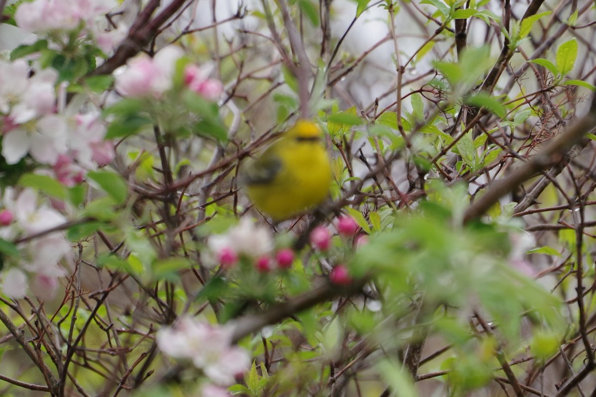 JLClarke tweet media