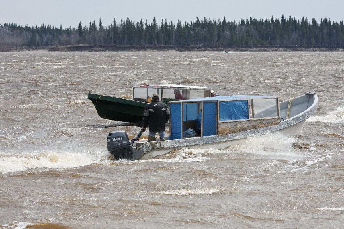 2009 May 14 taxiboats (motorized canoes with covers) on the Moose River at Moosonee, Ontario. These go back and forth between Moosonee and Moose Factory Island.