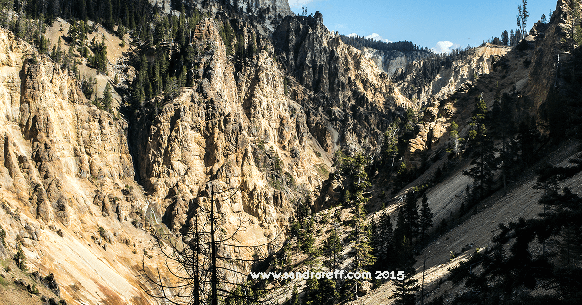 'Yellowstone Canyon' #Yellowstone #canyon #mountains #nature #photography #landscapephotography