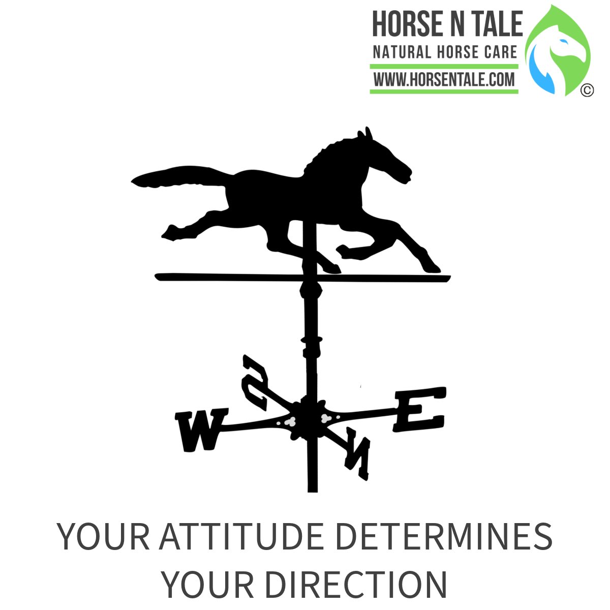 Monday Motivation.

YOUR ATTITUDE DETERMINES YOUR DIRECTION.

#horsentale #topicalequineproducts #naturalhorsecare #equine #horse #naturalingredients 
#teamhnt #teamhorsentale 
#motivationmonday #MondayMotivation #MondayMotivation #Monday #Mondaymindset