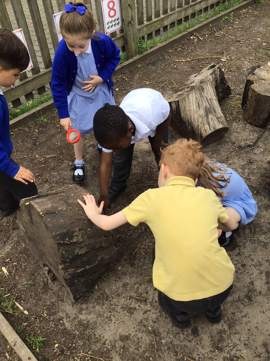 Canon_Reception's tweet image. Reception are exploring our outdoor area in search for minibeasts! 🔍🪲🐌🪱🕷️🦋🐞 @Cornerstonesedu #CreepCrawlandWriggle #EYFS @LT_Trust @CanonSharples #cspsscience